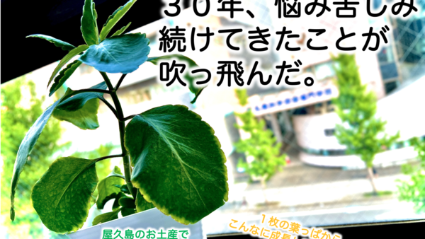 ３０年の悩みと苦しみが吹っ飛んだ